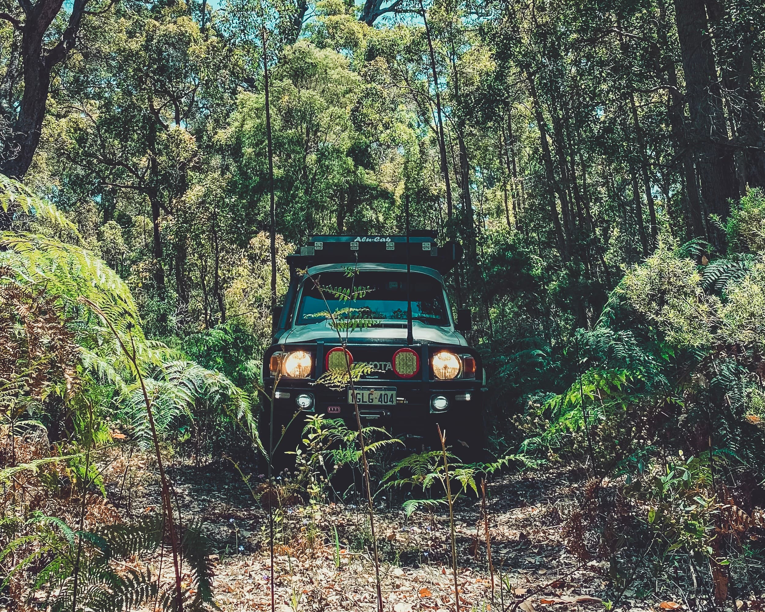 Photo of the front of a toyota landcruiser on an overgrown forest bush track.